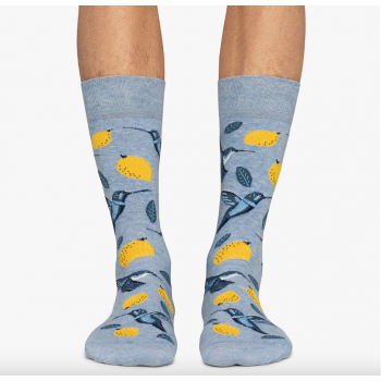 Calcetines "Birds & Lemons" de Jimmy Lion"