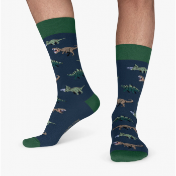 Calcetines "Jurassic Dinos" de Jimmy Lion