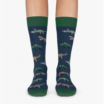 Calcetines "Jurassic Dinos" de Jimmy Lion