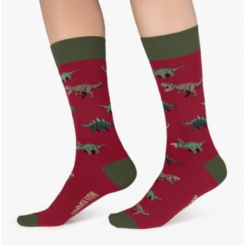 Calcetines "Jurassic Dinos" de Jimmy Lion